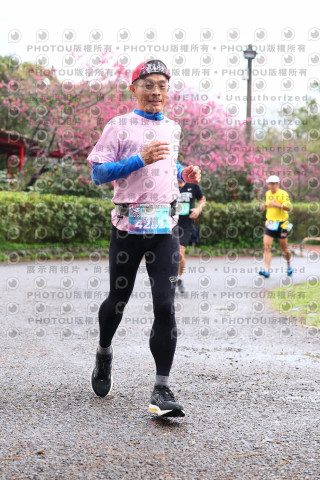 2026左岸竹東櫻花馬拉松Zhudong Sakura Marathon