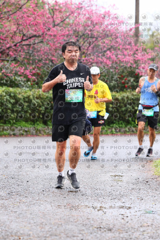 2026左岸竹東櫻花馬拉松Zhudong Sakura Marathon