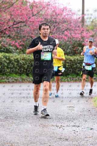 2026左岸竹東櫻花馬拉松Zhudong Sakura Marathon