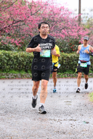 2026左岸竹東櫻花馬拉松Zhudong Sakura Marathon