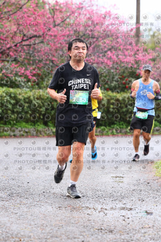 2026左岸竹東櫻花馬拉松Zhudong Sakura Marathon