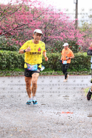 2026左岸竹東櫻花馬拉松Zhudong Sakura Marathon