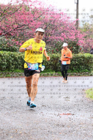 2026左岸竹東櫻花馬拉松Zhudong Sakura Marathon
