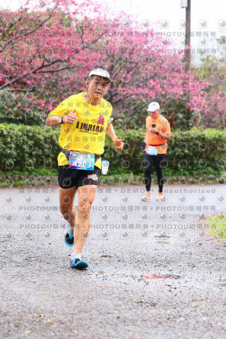 2026左岸竹東櫻花馬拉松Zhudong Sakura Marathon