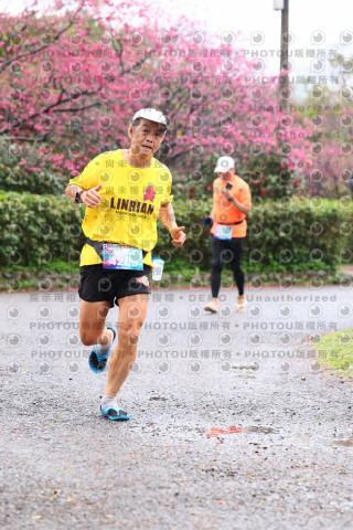 2026左岸竹東櫻花馬拉松Zhudong Sakura Marathon