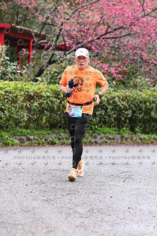 2026左岸竹東櫻花馬拉松Zhudong Sakura Marathon