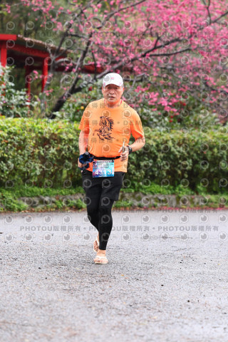 2026左岸竹東櫻花馬拉松Zhudong Sakura Marathon