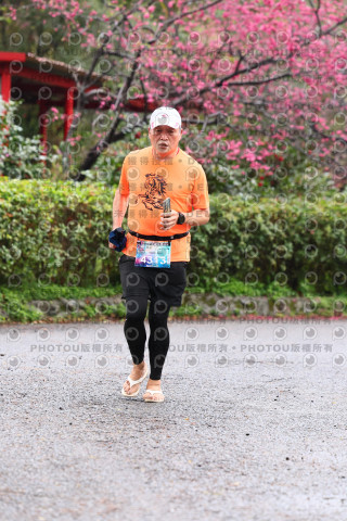 2026左岸竹東櫻花馬拉松Zhudong Sakura Marathon