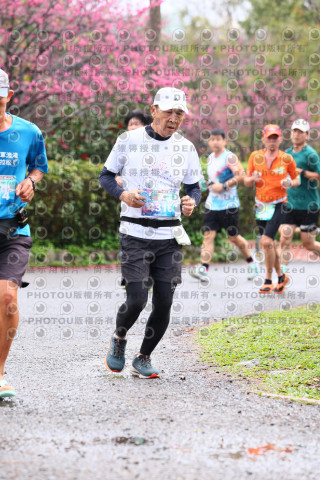 2026左岸竹東櫻花馬拉松Zhudong Sakura Marathon
