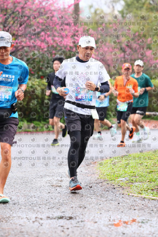 2026左岸竹東櫻花馬拉松Zhudong Sakura Marathon