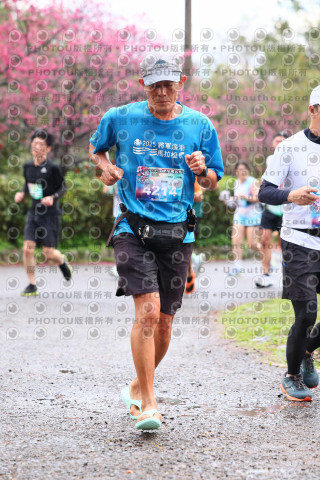 2026左岸竹東櫻花馬拉松Zhudong Sakura Marathon