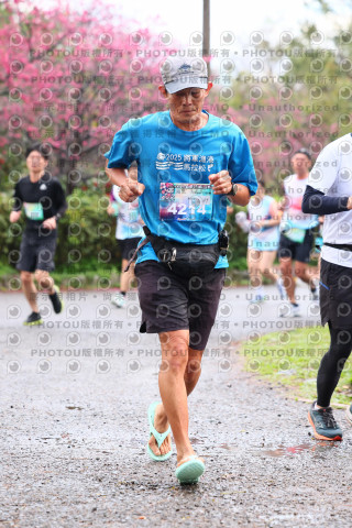 2026左岸竹東櫻花馬拉松Zhudong Sakura Marathon