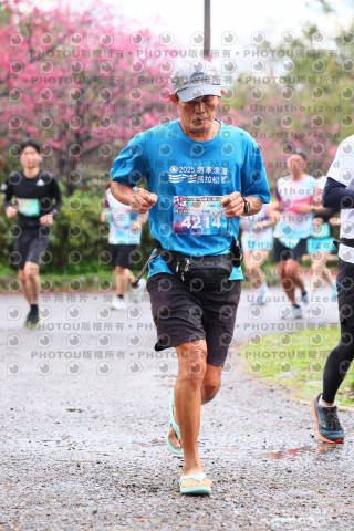 2026左岸竹東櫻花馬拉松Zhudong Sakura Marathon