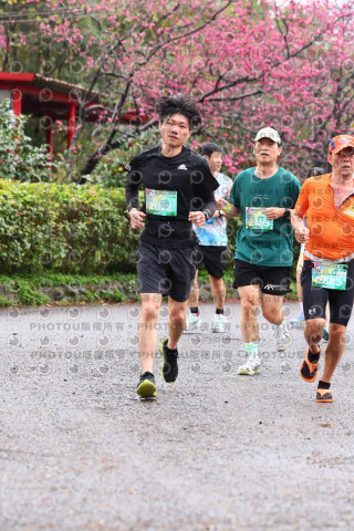 2026左岸竹東櫻花馬拉松Zhudong Sakura Marathon