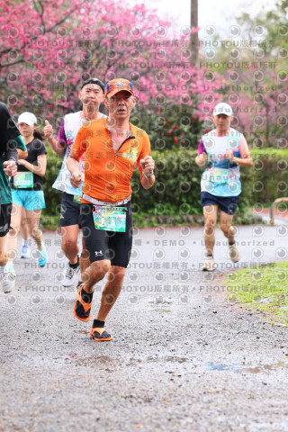 2026左岸竹東櫻花馬拉松Zhudong Sakura Marathon