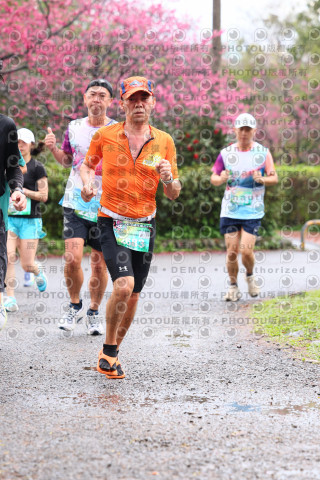 2026左岸竹東櫻花馬拉松Zhudong Sakura Marathon