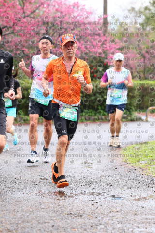 2026左岸竹東櫻花馬拉松Zhudong Sakura Marathon
