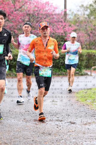 2026左岸竹東櫻花馬拉松Zhudong Sakura Marathon