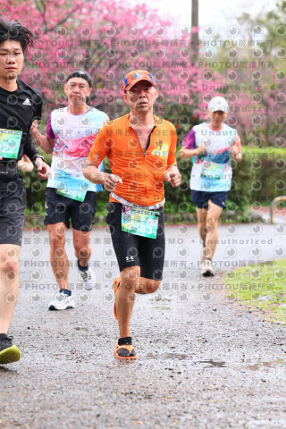 2026左岸竹東櫻花馬拉松Zhudong Sakura Marathon