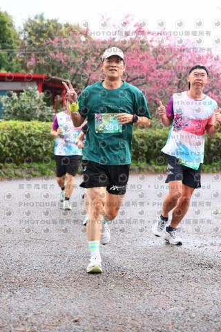 2026左岸竹東櫻花馬拉松Zhudong Sakura Marathon