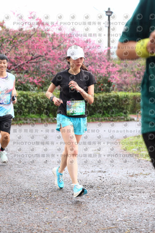 2026左岸竹東櫻花馬拉松Zhudong Sakura Marathon