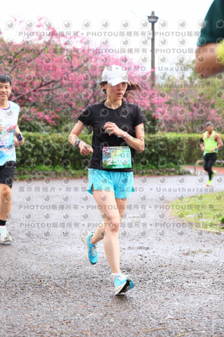 2026左岸竹東櫻花馬拉松Zhudong Sakura Marathon