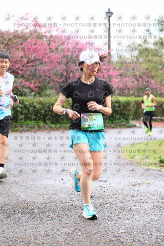 2026左岸竹東櫻花馬拉松Zhudong Sakura Marathon
