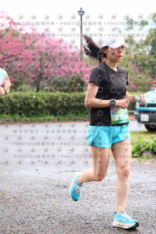 2026左岸竹東櫻花馬拉松Zhudong Sakura Marathon