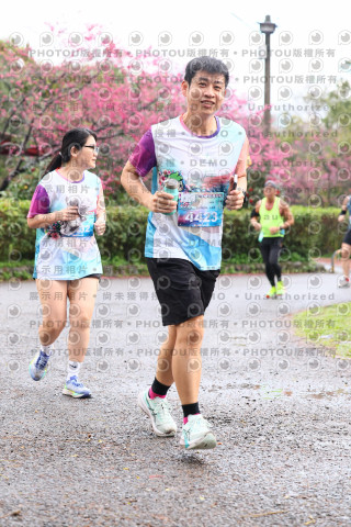 2026左岸竹東櫻花馬拉松Zhudong Sakura Marathon