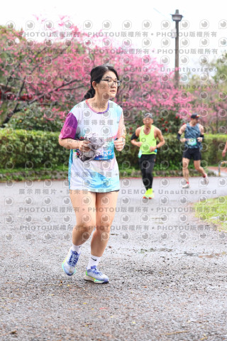 2026左岸竹東櫻花馬拉松Zhudong Sakura Marathon