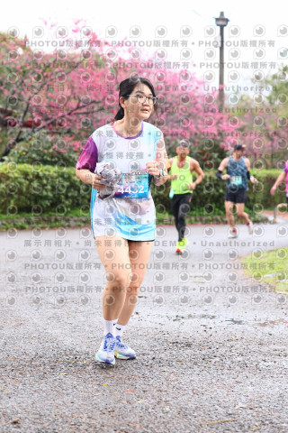 2026左岸竹東櫻花馬拉松Zhudong Sakura Marathon