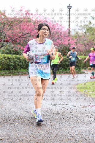 2026左岸竹東櫻花馬拉松Zhudong Sakura Marathon