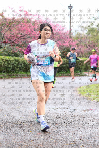 2026左岸竹東櫻花馬拉松Zhudong Sakura Marathon