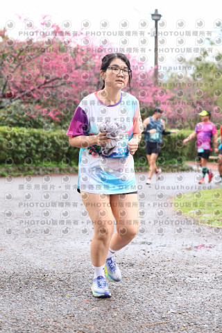 2026左岸竹東櫻花馬拉松Zhudong Sakura Marathon