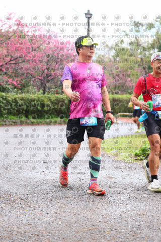 2026左岸竹東櫻花馬拉松Zhudong Sakura Marathon