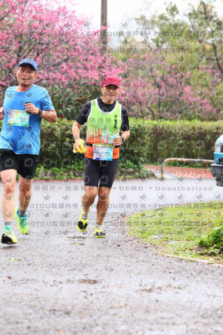 2026左岸竹東櫻花馬拉松Zhudong Sakura Marathon
