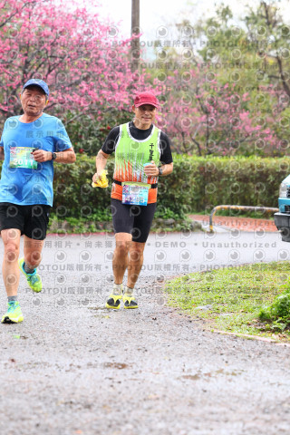 2026左岸竹東櫻花馬拉松Zhudong Sakura Marathon