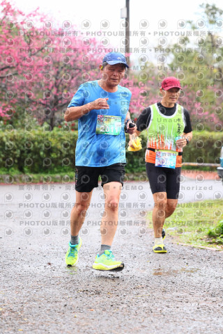 2026左岸竹東櫻花馬拉松Zhudong Sakura Marathon