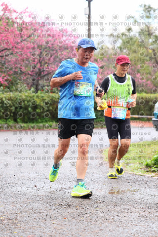 2026左岸竹東櫻花馬拉松Zhudong Sakura Marathon
