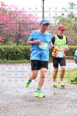 2026左岸竹東櫻花馬拉松Zhudong Sakura Marathon