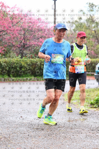 2026左岸竹東櫻花馬拉松Zhudong Sakura Marathon