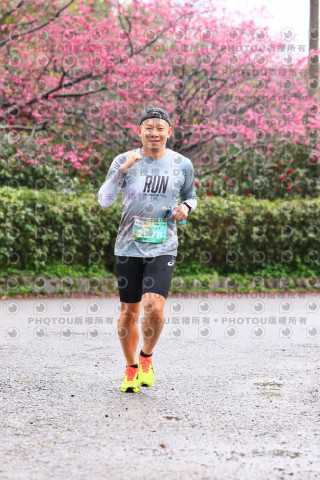 2026左岸竹東櫻花馬拉松Zhudong Sakura Marathon