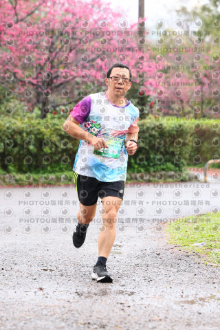 2026左岸竹東櫻花馬拉松Zhudong Sakura Marathon
