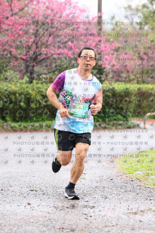 2026左岸竹東櫻花馬拉松Zhudong Sakura Marathon