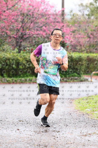 2026左岸竹東櫻花馬拉松Zhudong Sakura Marathon
