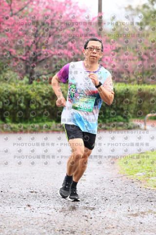 2026左岸竹東櫻花馬拉松Zhudong Sakura Marathon