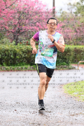 2026左岸竹東櫻花馬拉松Zhudong Sakura Marathon