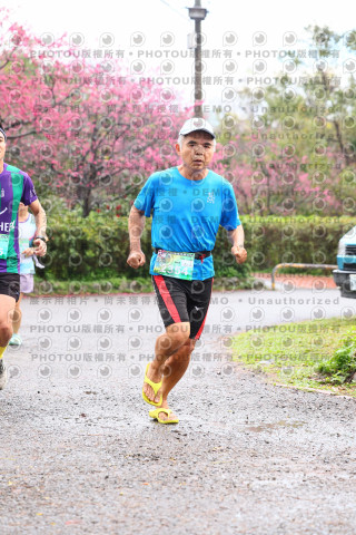 2026左岸竹東櫻花馬拉松Zhudong Sakura Marathon