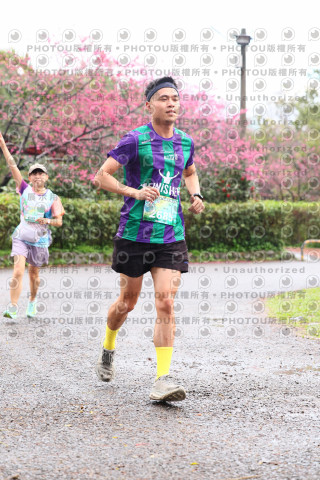 2026左岸竹東櫻花馬拉松Zhudong Sakura Marathon