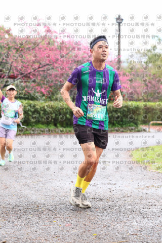 2026左岸竹東櫻花馬拉松Zhudong Sakura Marathon